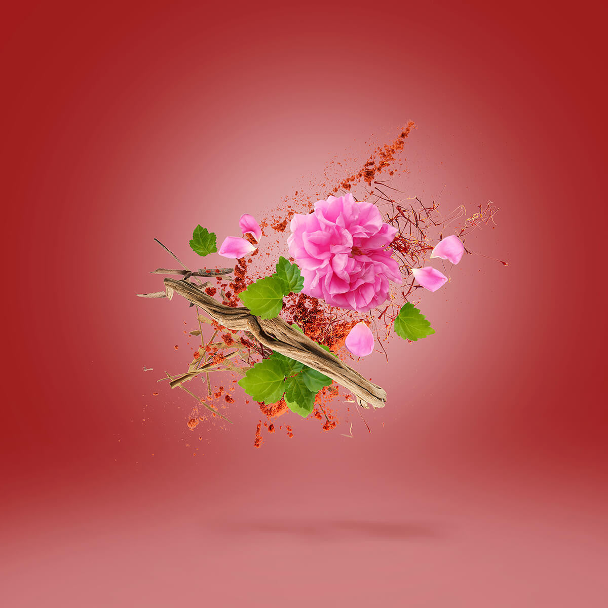 Wardasina EDP Xerjoff Sample 2ml