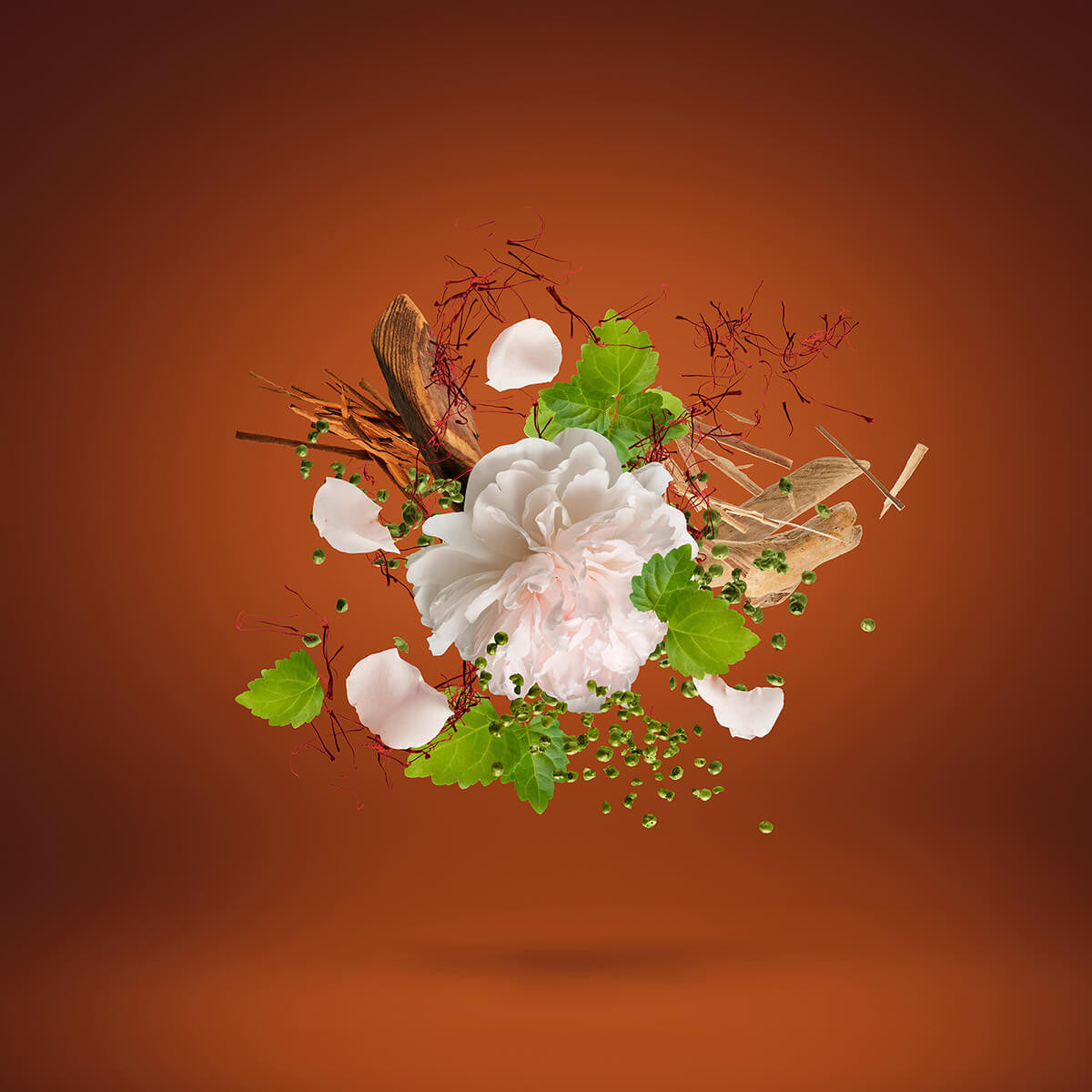 1888 EDP Casamorati Xerjoff