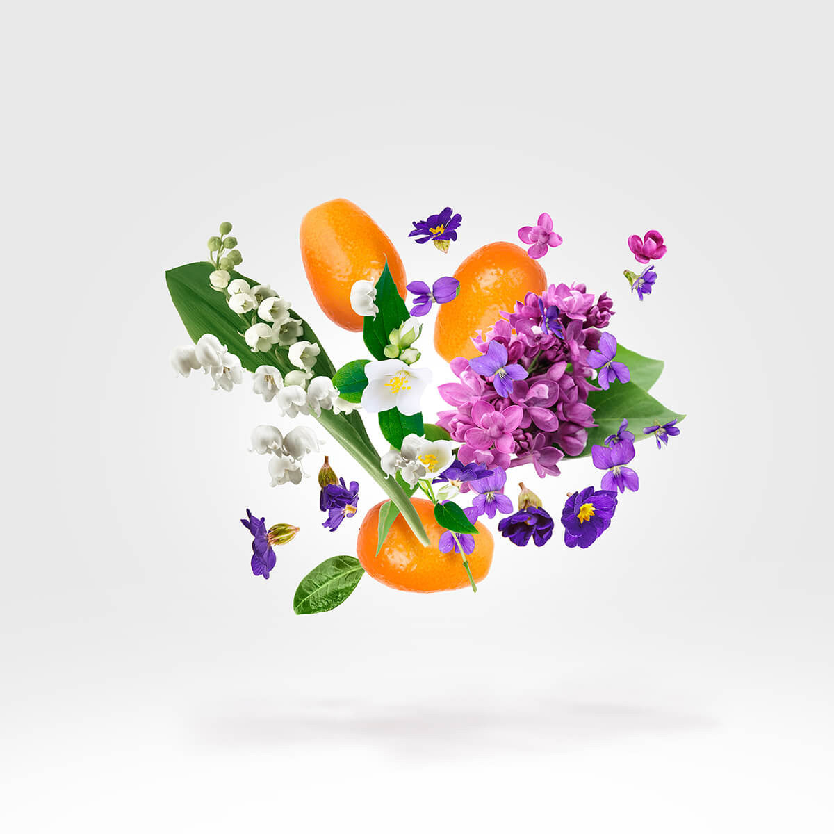 Dama Bianca Casamorati Xerjoff Eau De Parfum