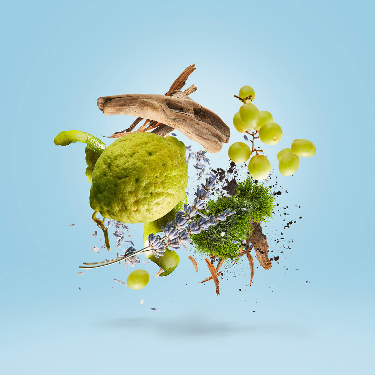 Mefisto Gentiluomo EDP Casamorati Xerjoff 100ml