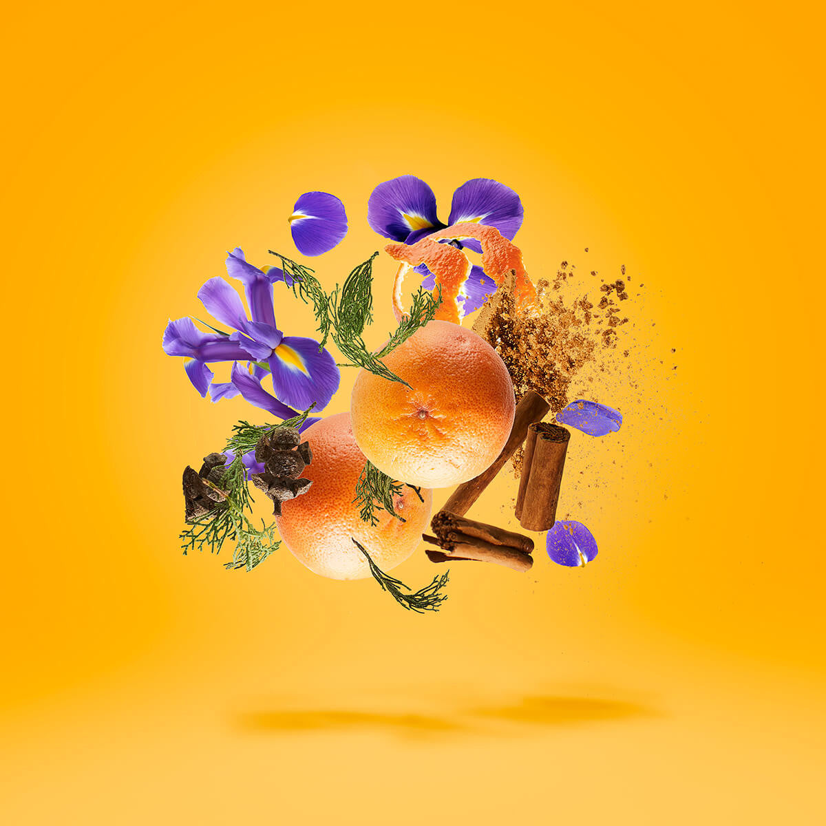 P.33 Sketchbook Xerjoff 100ml