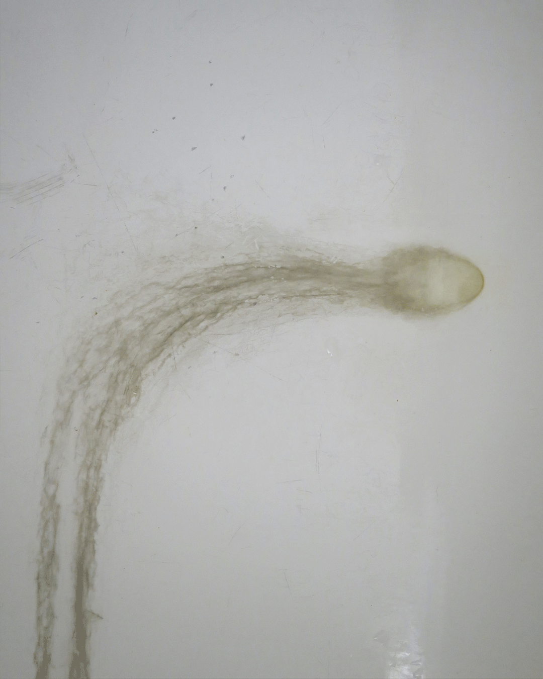 Seminalis Orto Parisi Extrait de Parfum 50ml