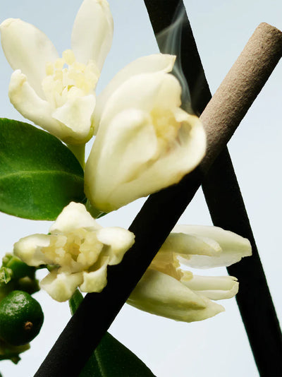 Orange Smoke Dries Van Noten Eau De Toilette 100ml