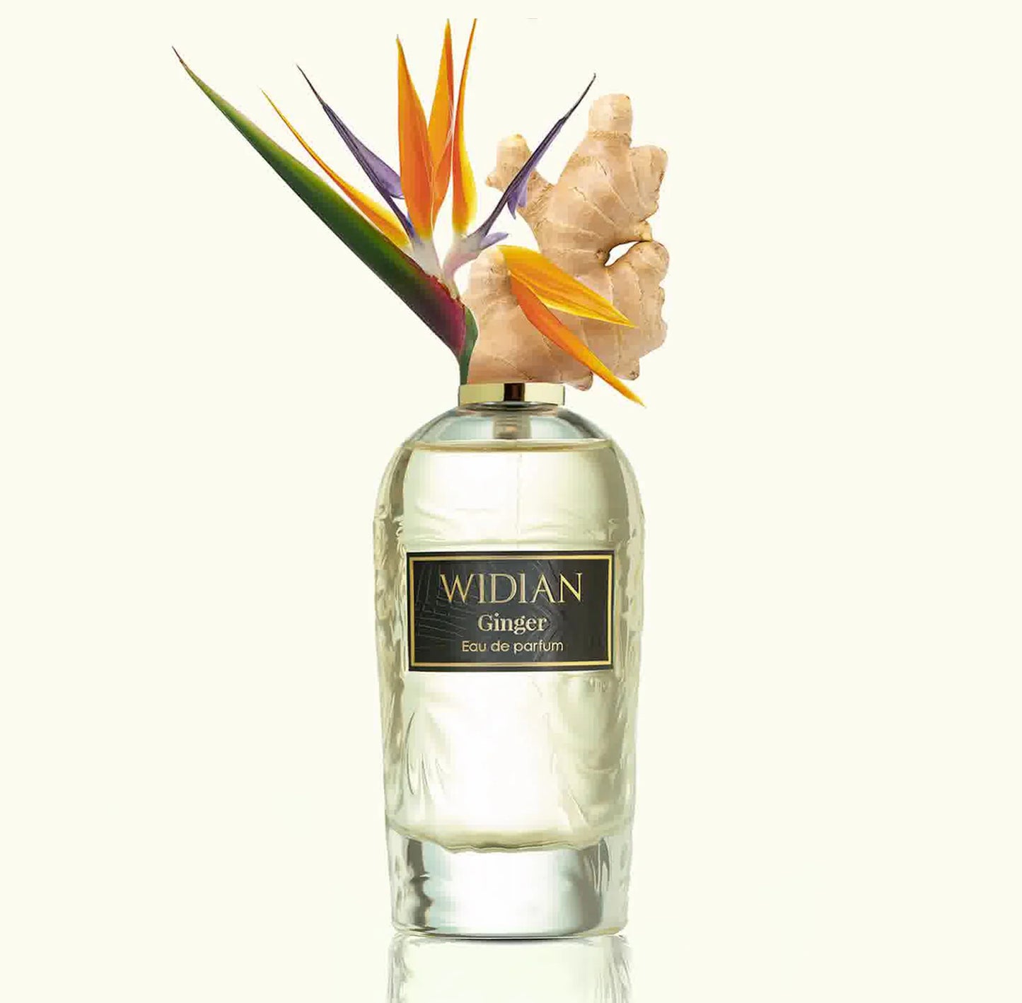 Ginger Widian Eau de Parfum 100ml