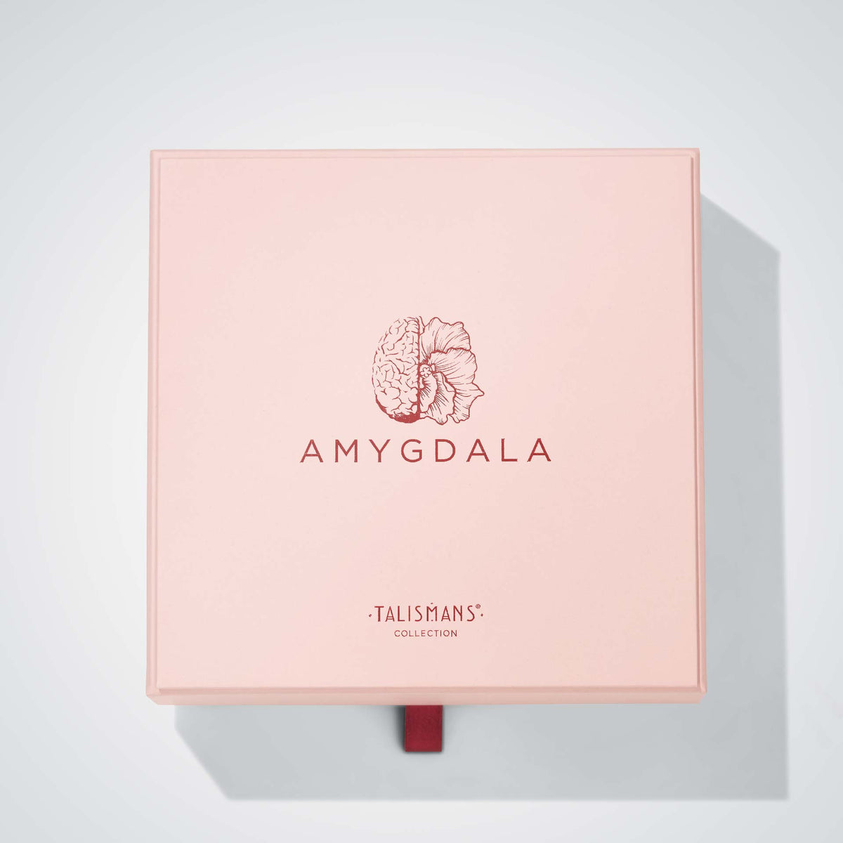 Amygdala Mendittorosa Extreme Extrait de Parfum 100ml