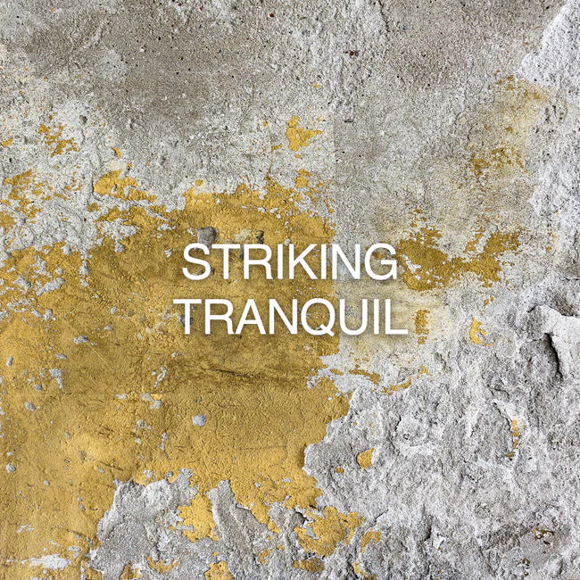 Tender Oud Mizensir Eau de Parfum 100ml