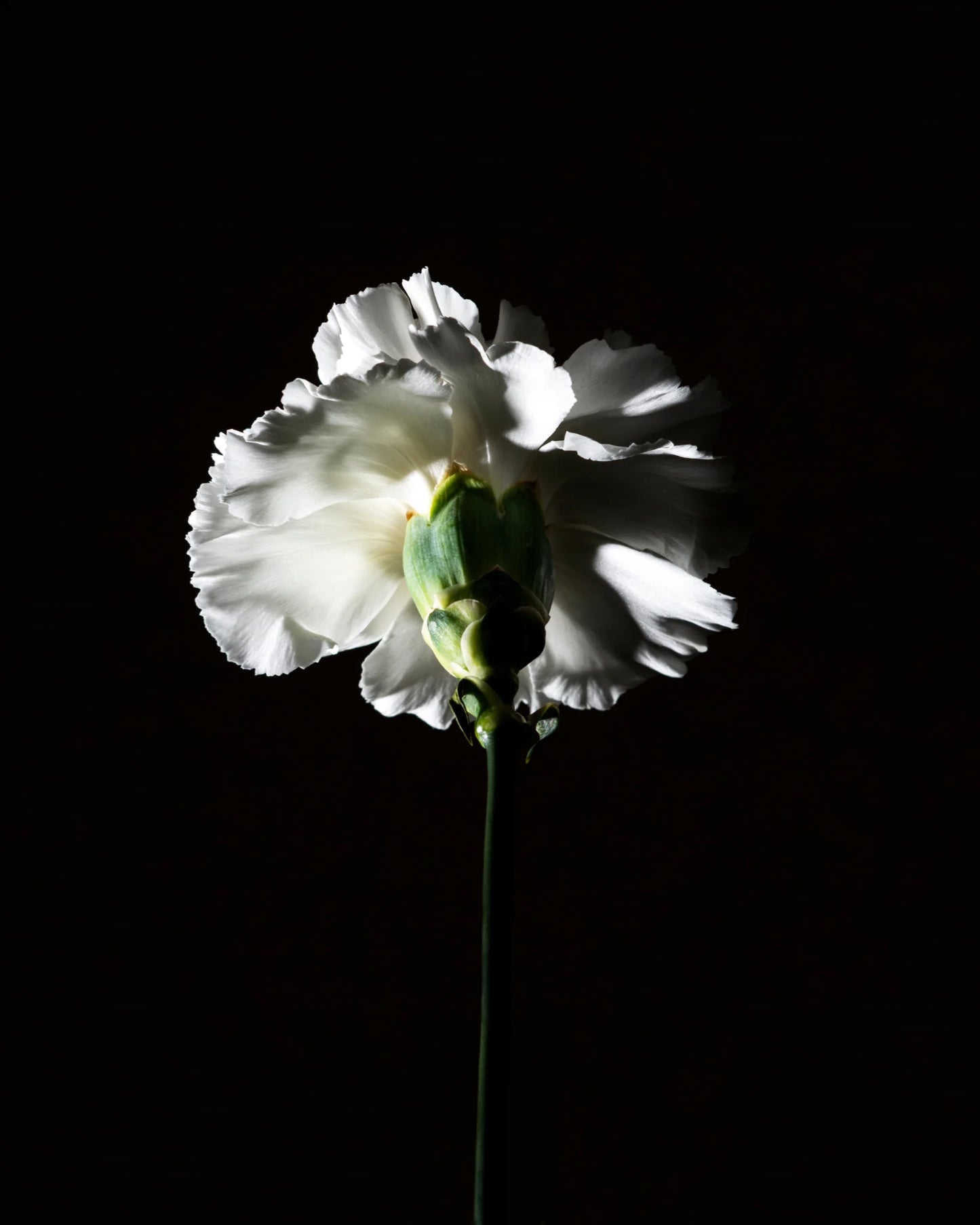 Pas Ce Soir BDK Parfums Hair Parfume 50ml