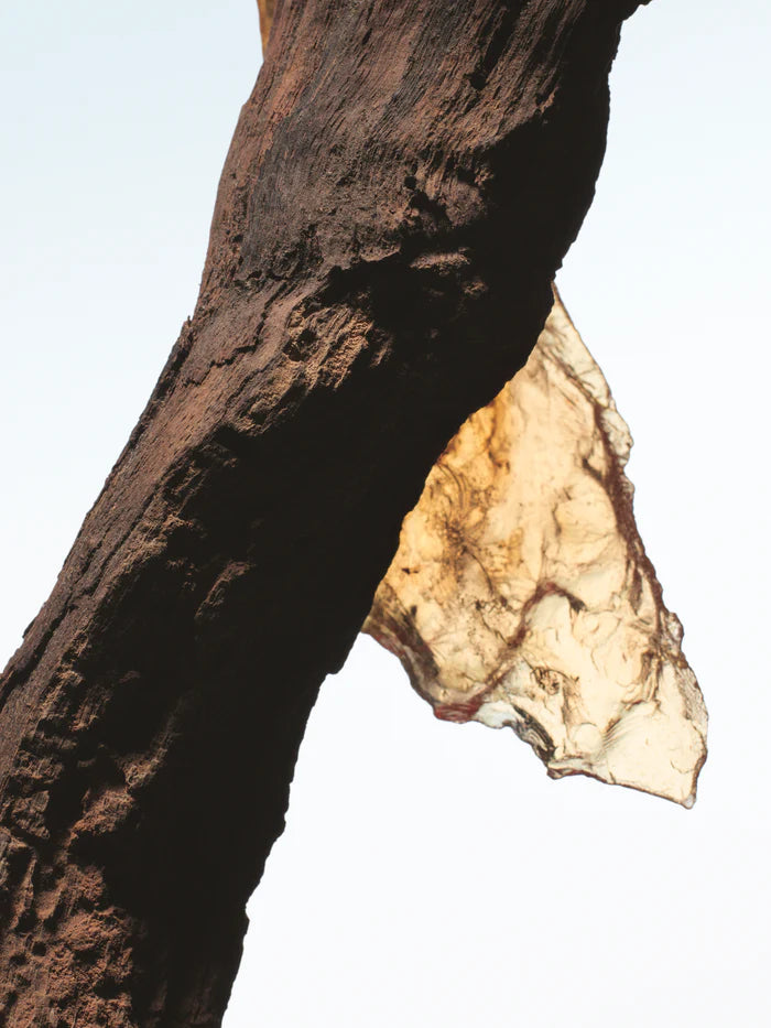 Rock the Myrrh Dries Van Noten Eau De Parfum 100ml