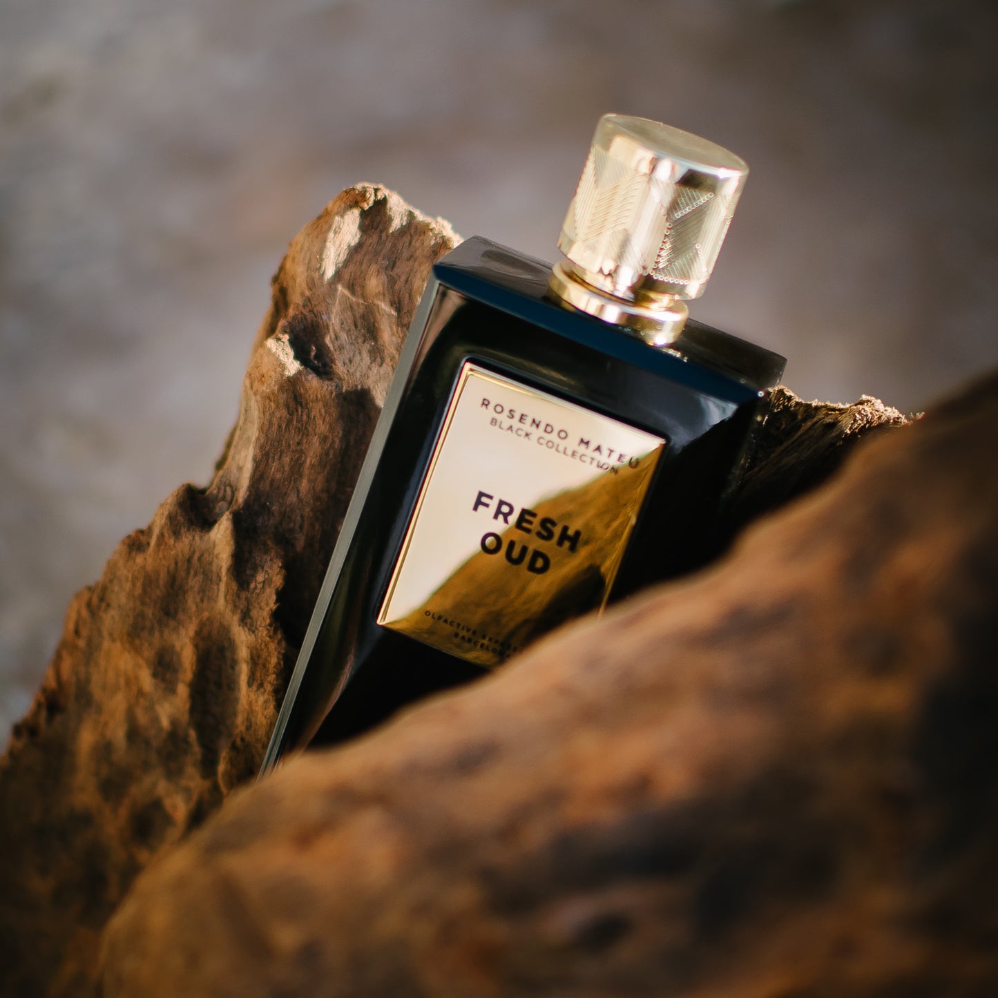 ROSENDO MATEU Fresh Oud EDP 100ml