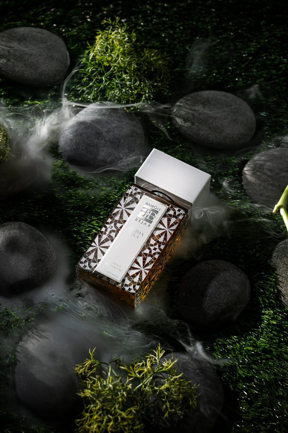 Anima Viva Ramon Bejar Extrait De Parfum 100ml