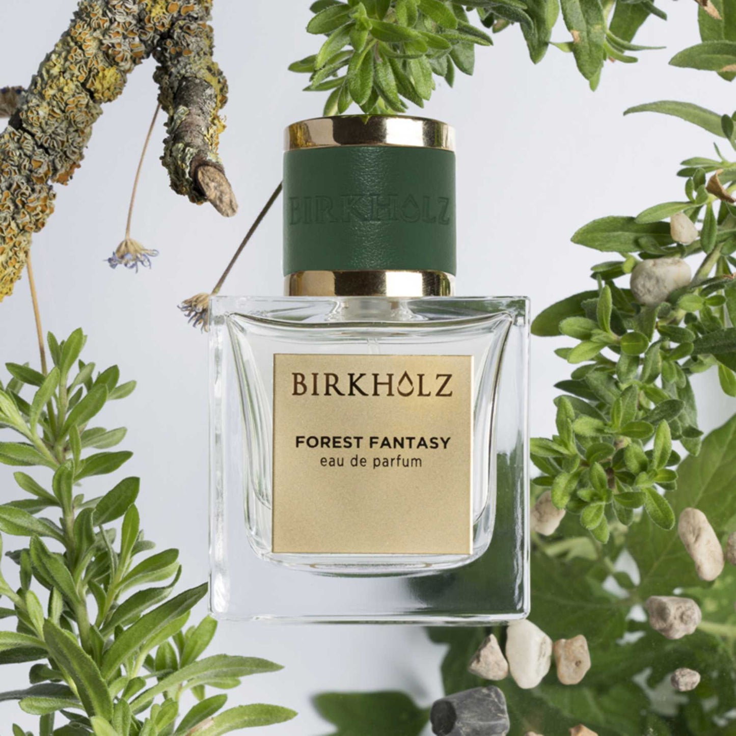 Forest Fantasy Birkholz Eau de Parfum 100ml