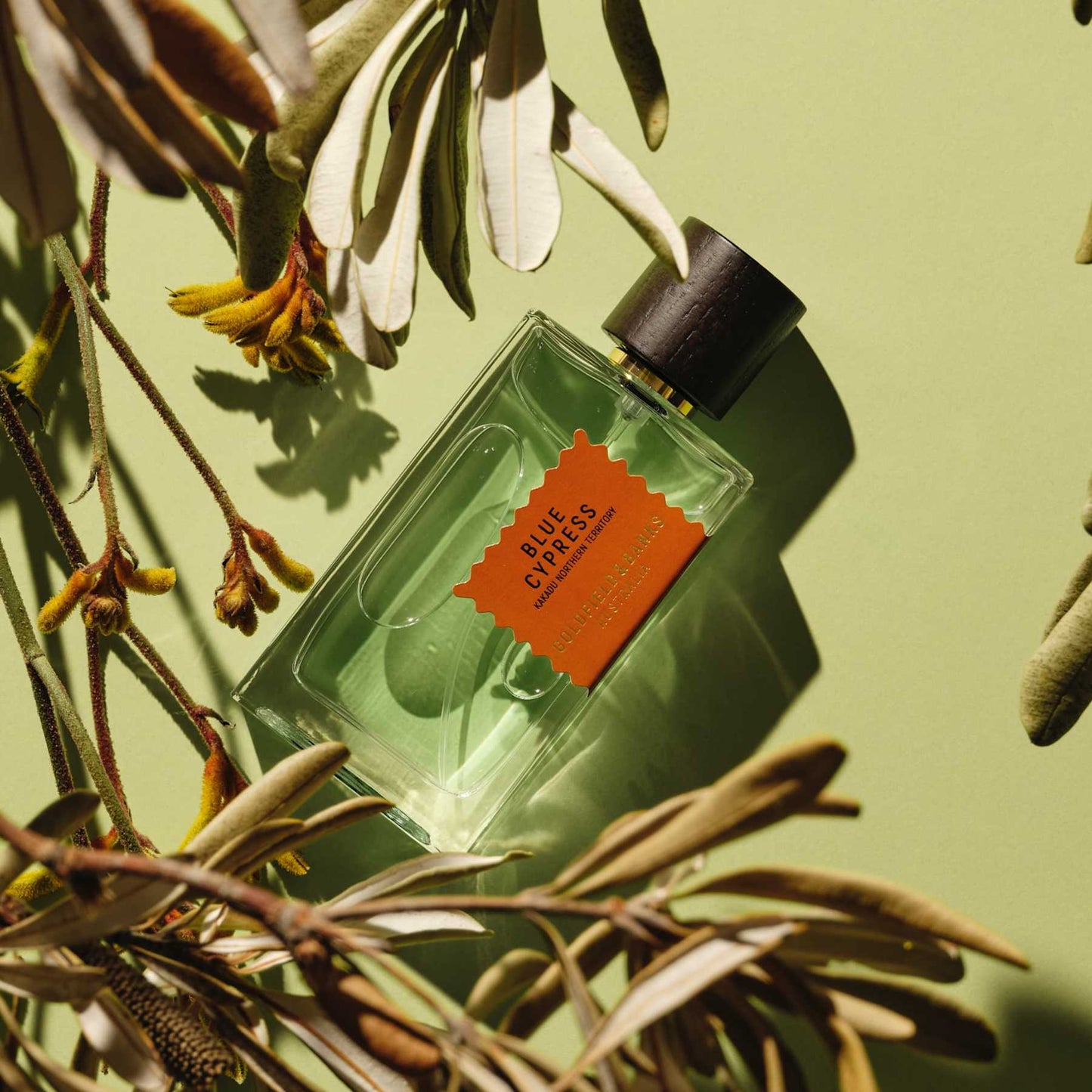 Wood Infusion Goldfield & Banks Parfum