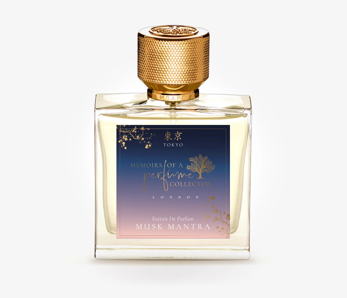 Musk Mantra Memoirs Of A Perfume Collecter Extrait de Parfum 50ml