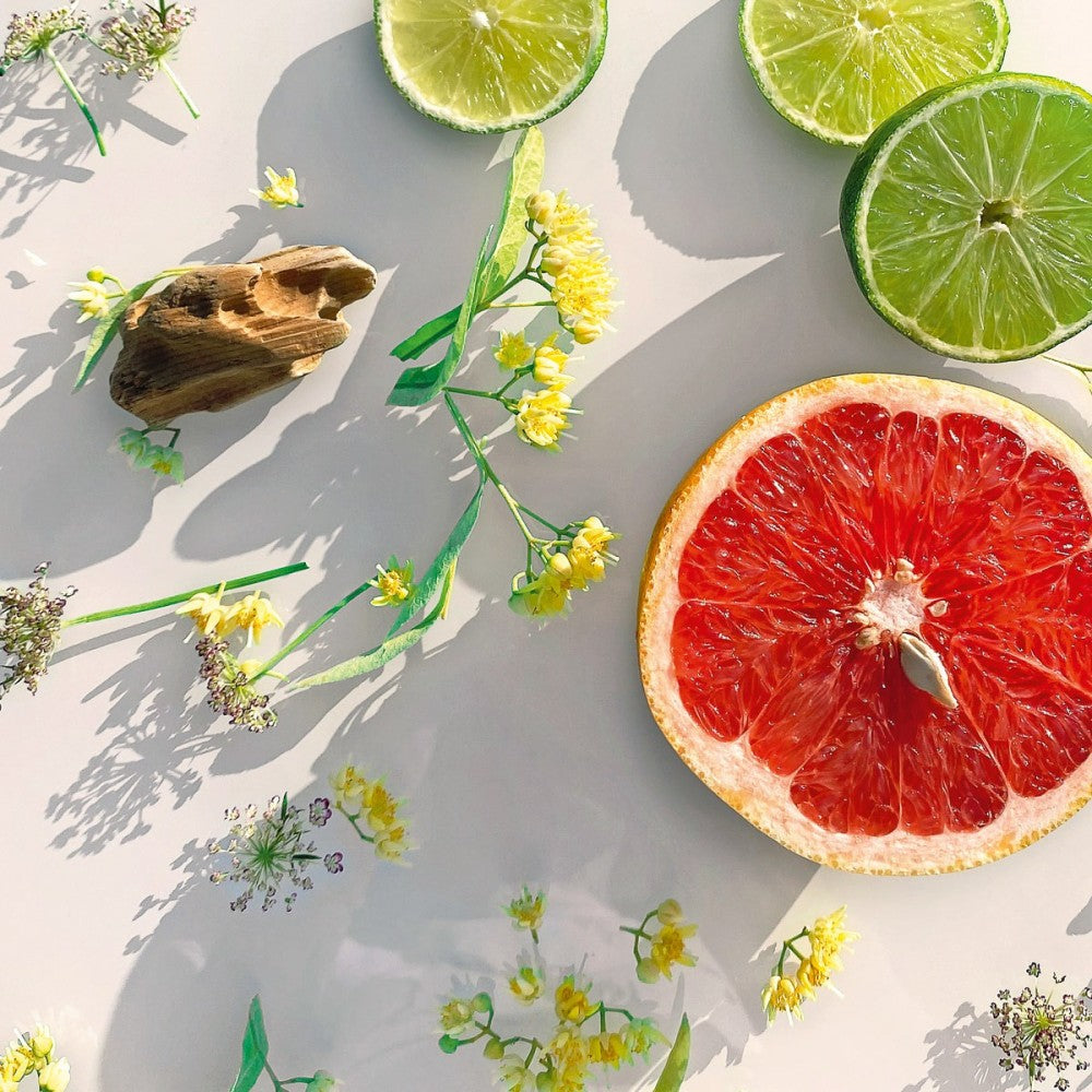 Osaito M.Micallef EDP