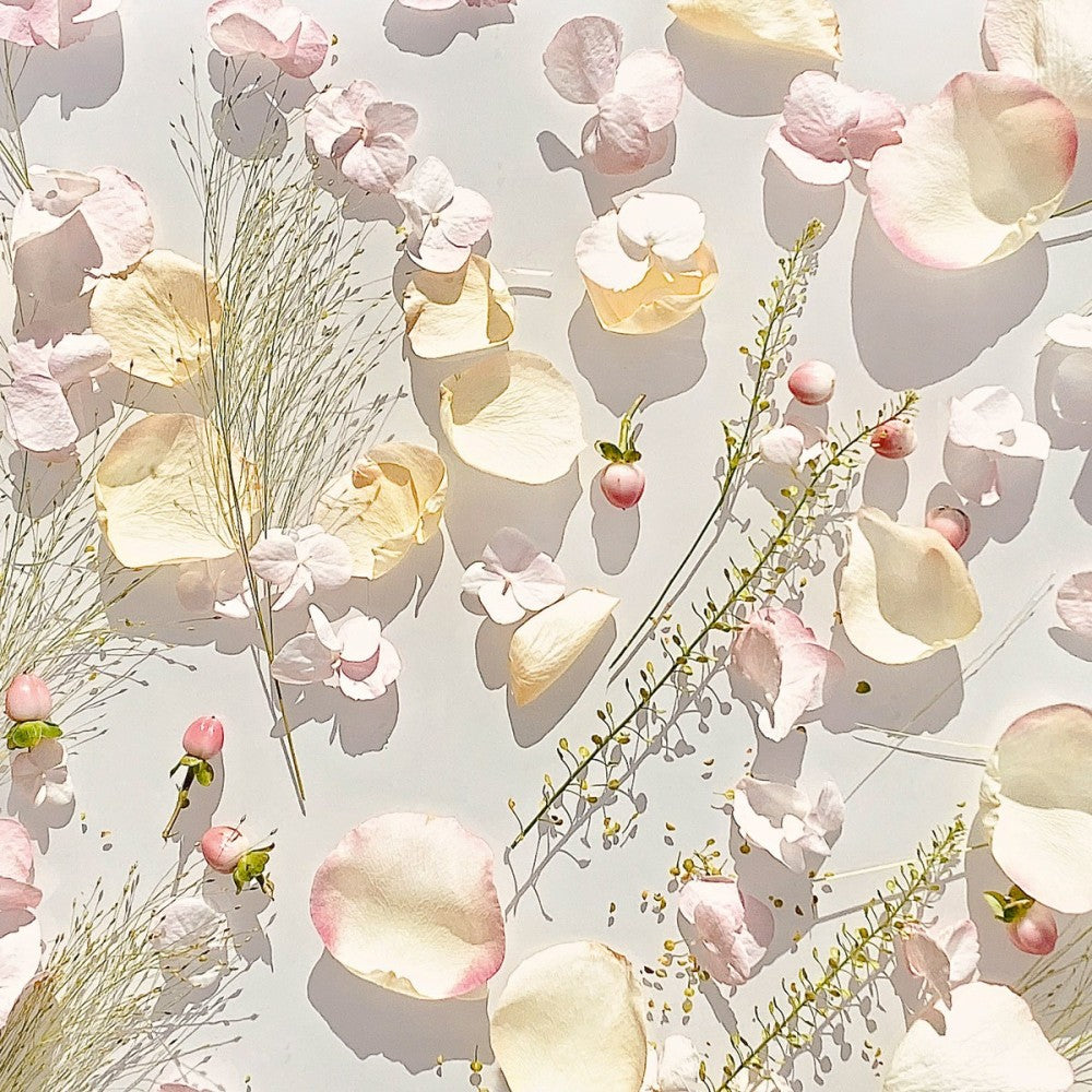 Royal Muska M.Micallef EDP - TUXEDO.NO - OSLO NORWAY