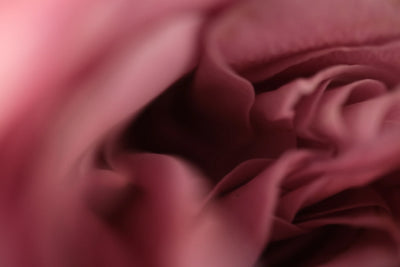 The Vibration Neh Perfumes Eau de Parfum 100ml