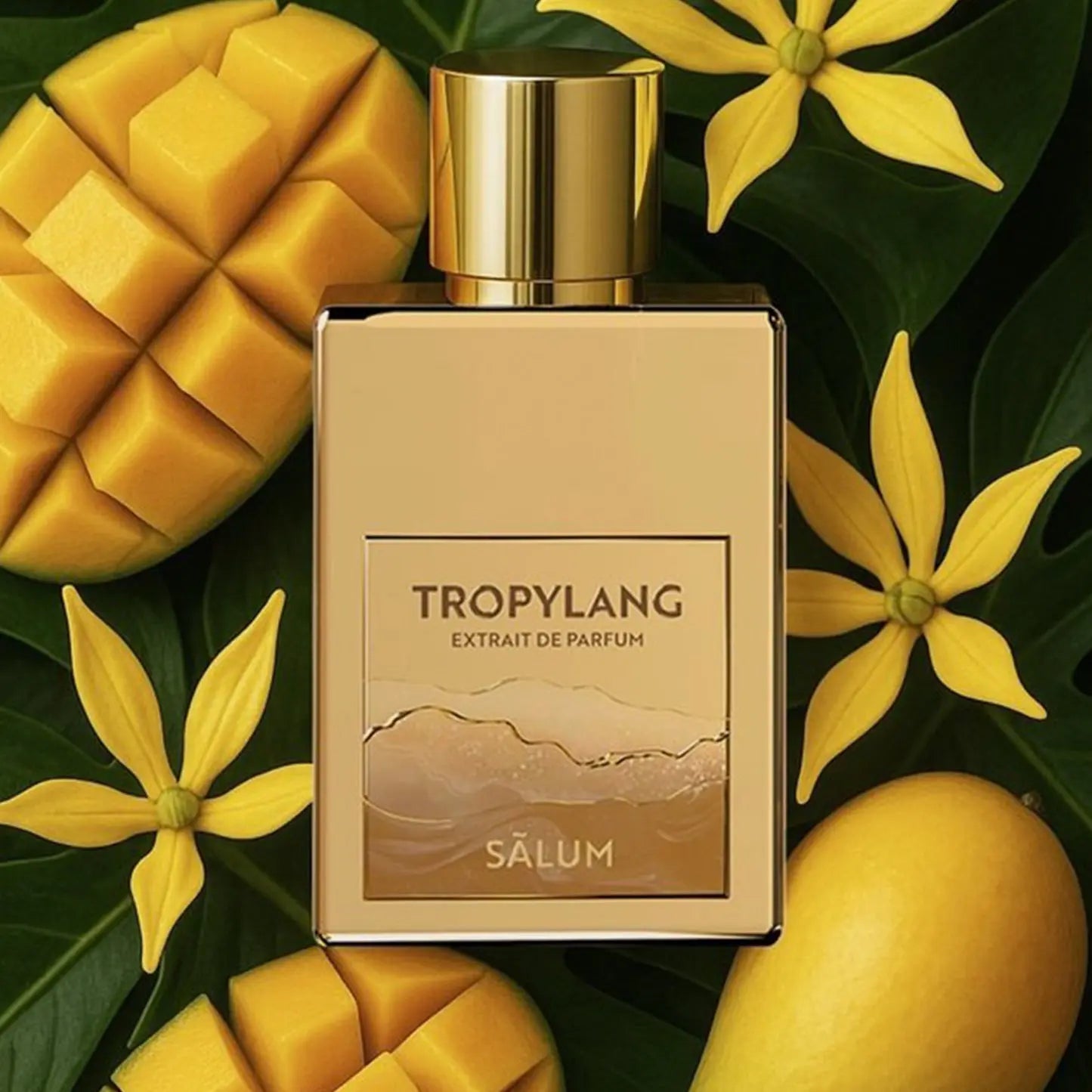 Tropylang Salum Extrait De Parfum 50ml