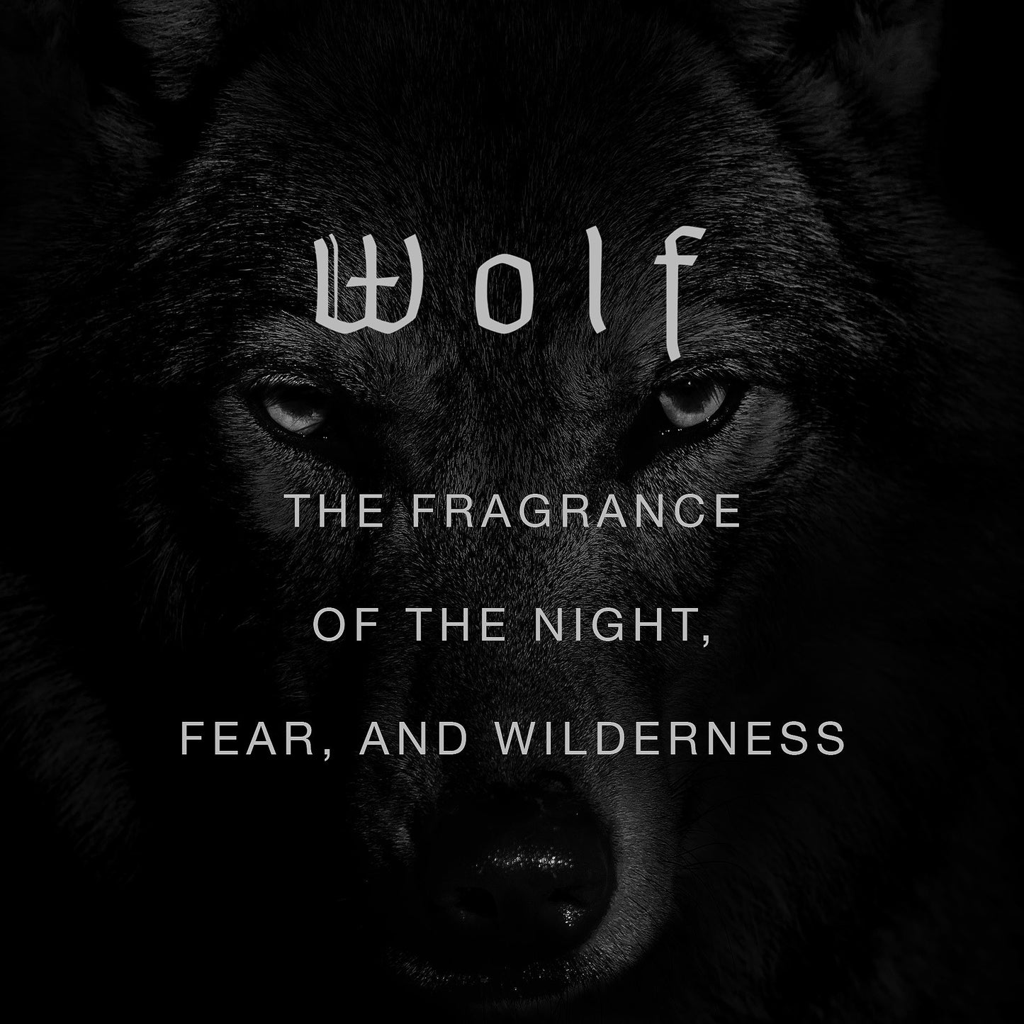 Wolf Wild Slavic Fragrance - Eau de Parfum Duftprøve 2ml