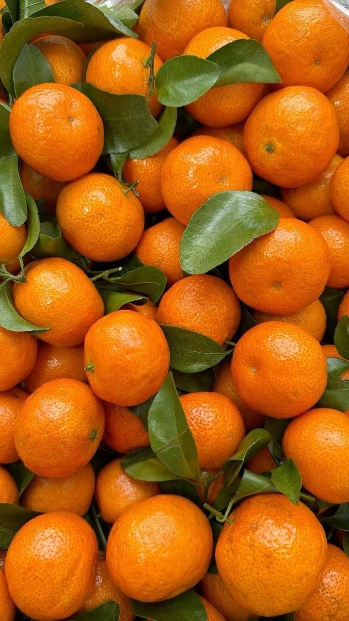 MANDARIN SCENTS