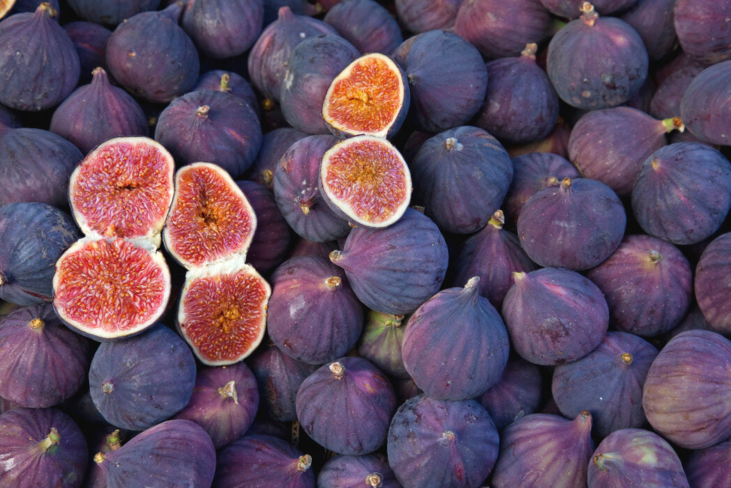 FIG SCENTS