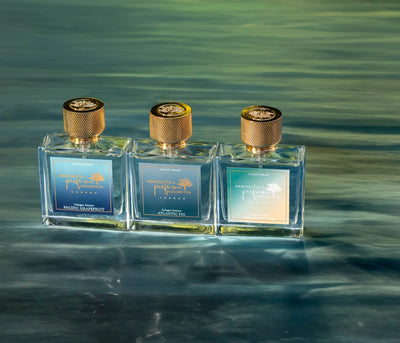 Memoirs Of A Perfume Collector Tuxedo Oslo Norway