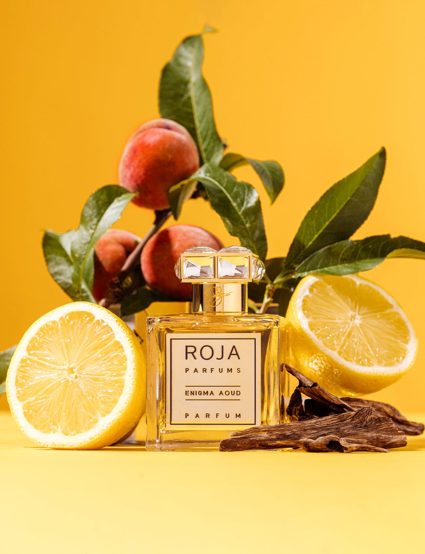 Enigma Aoud Parfum Roja Parfums Sample 2ml