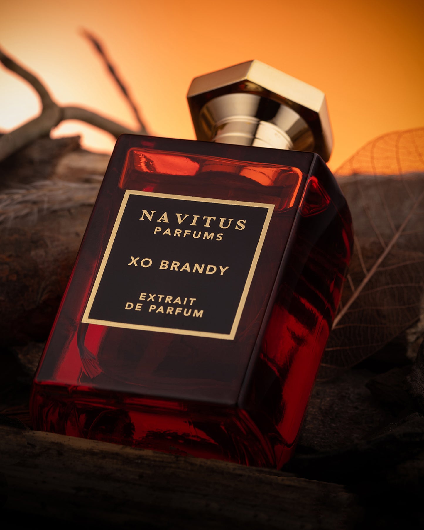 XO Brandy Navitus Extrait De Parfum 100ml