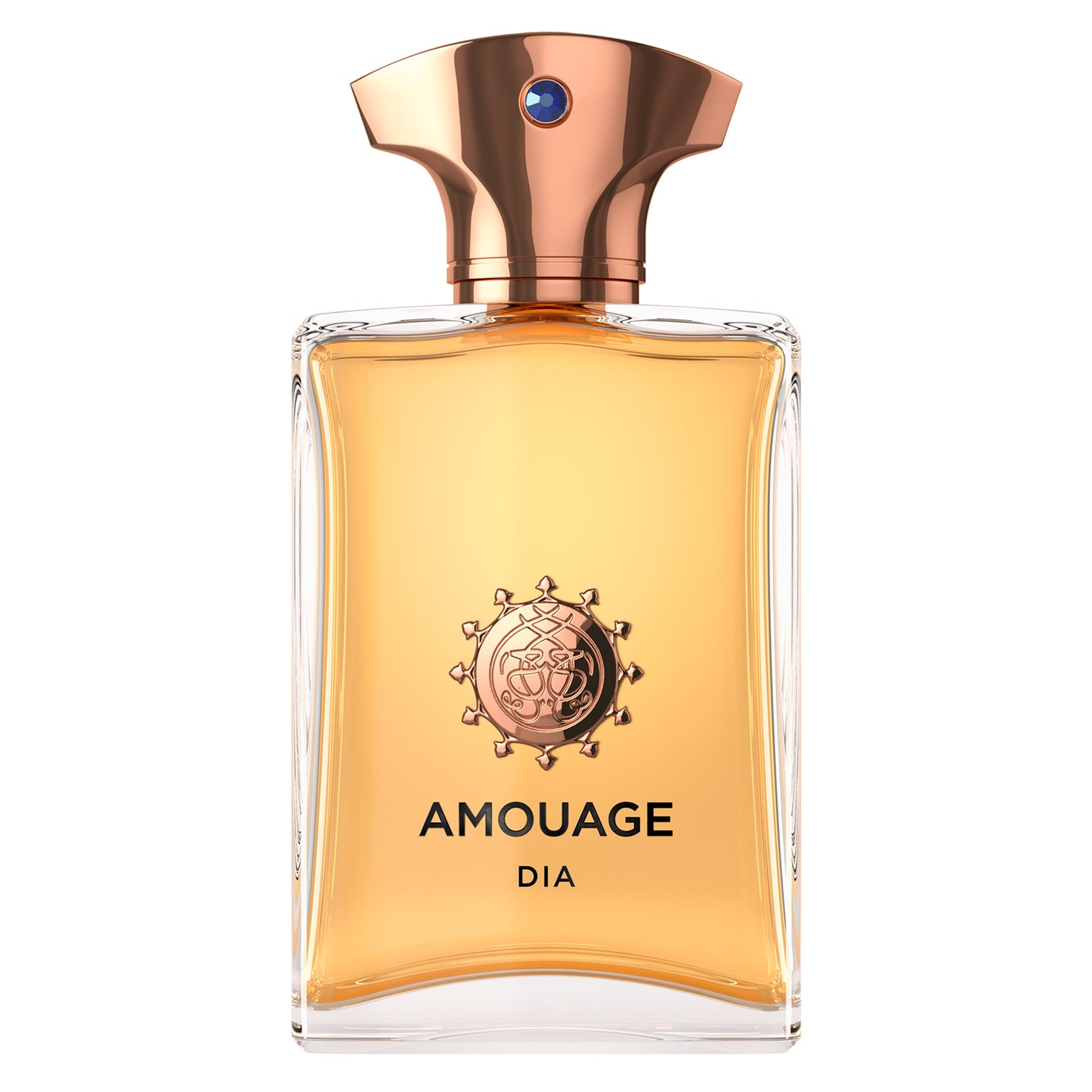 Dia Amouage Eau de Parfum 100ml