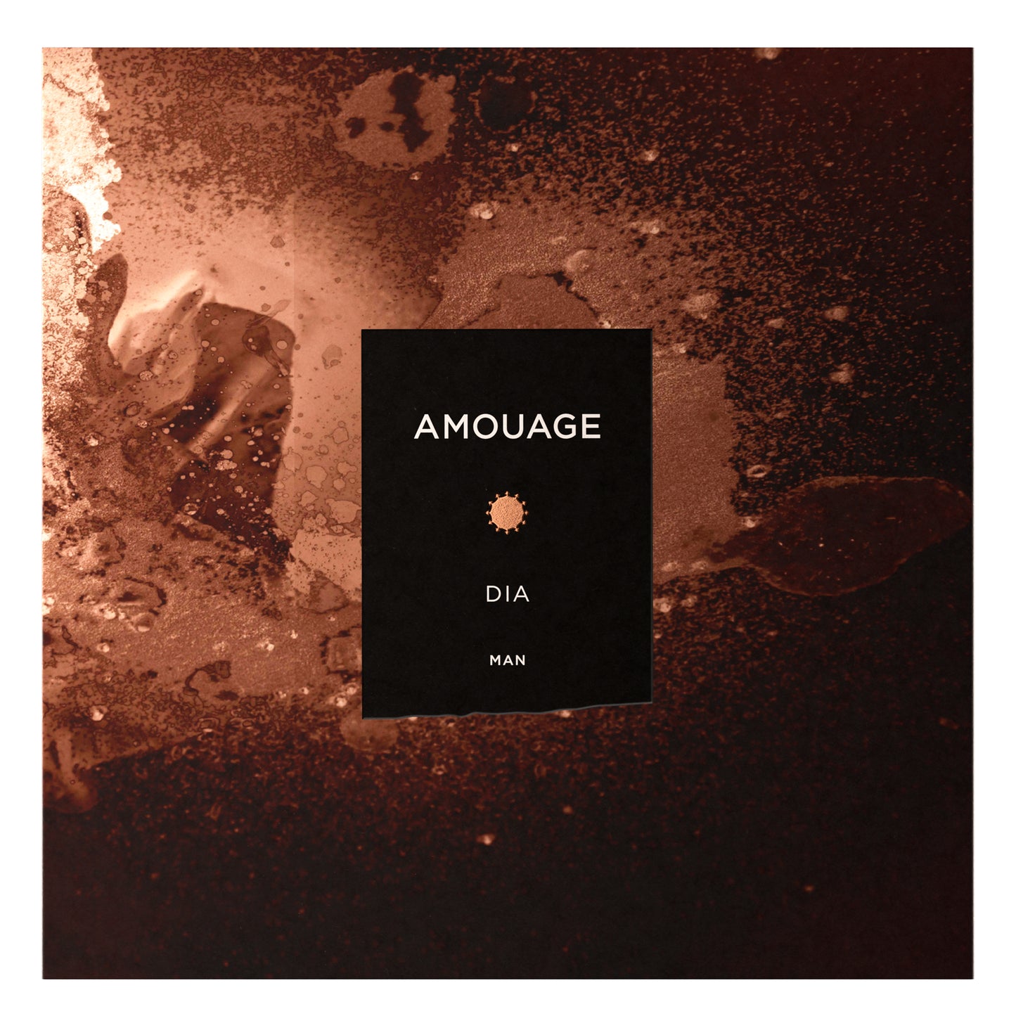 Dia Amouage Eau de Parfum 100ml