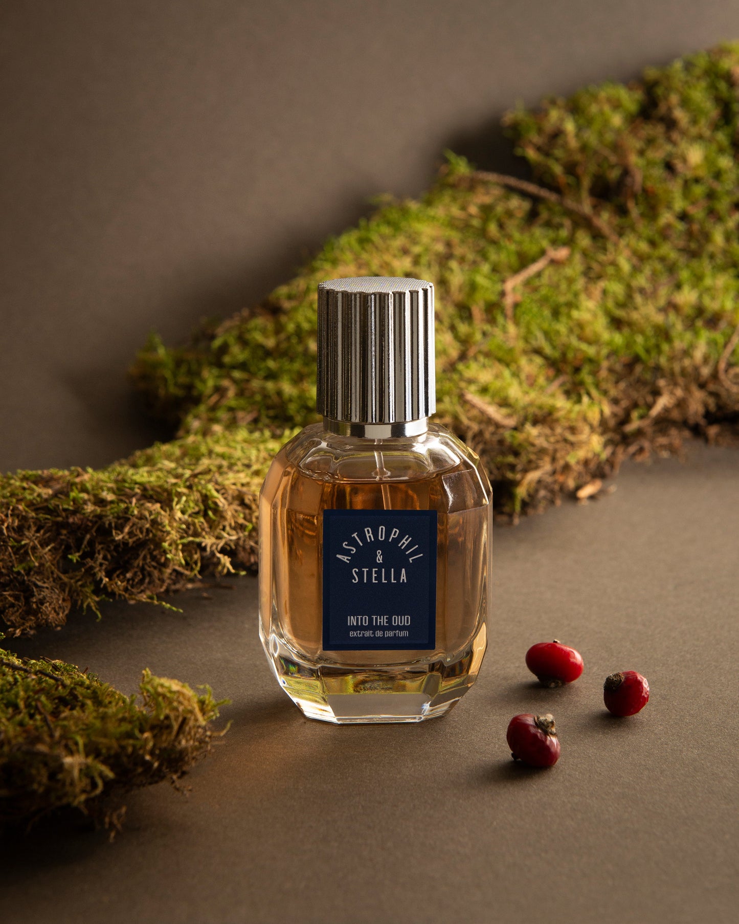 Into The Oud Astrophil & Stella Extrait de Parfum Sample 2ml