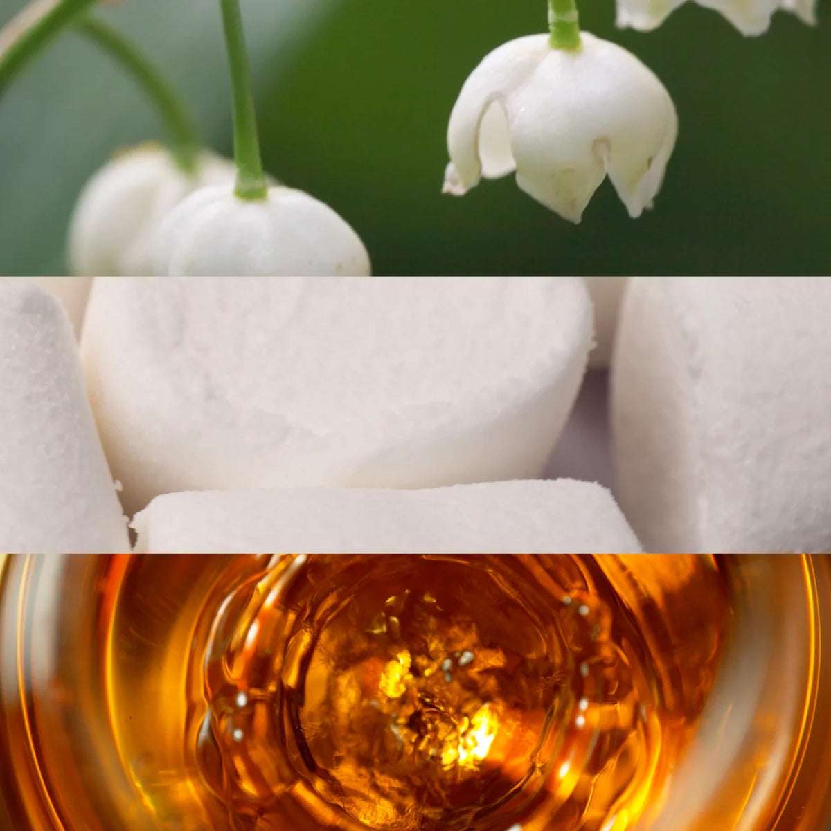 House of BŌ Bombón Parfum