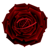 Halfeti Black Rose Zaharoff Eau de Parfum