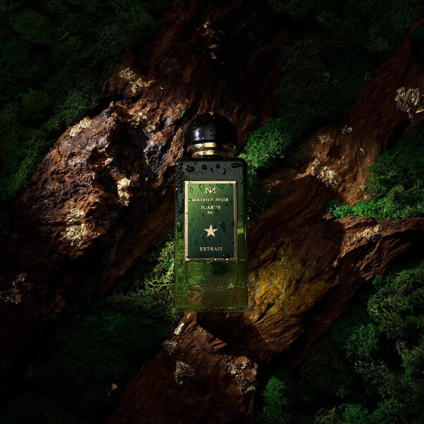 Icarus 347 Maison Noir Extrait de Parfum 100ml