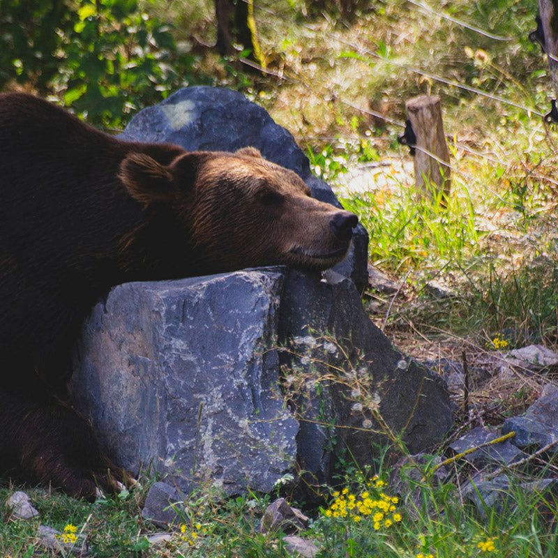 Don´t Disturb Ramon Monegal Scented Candle 650g