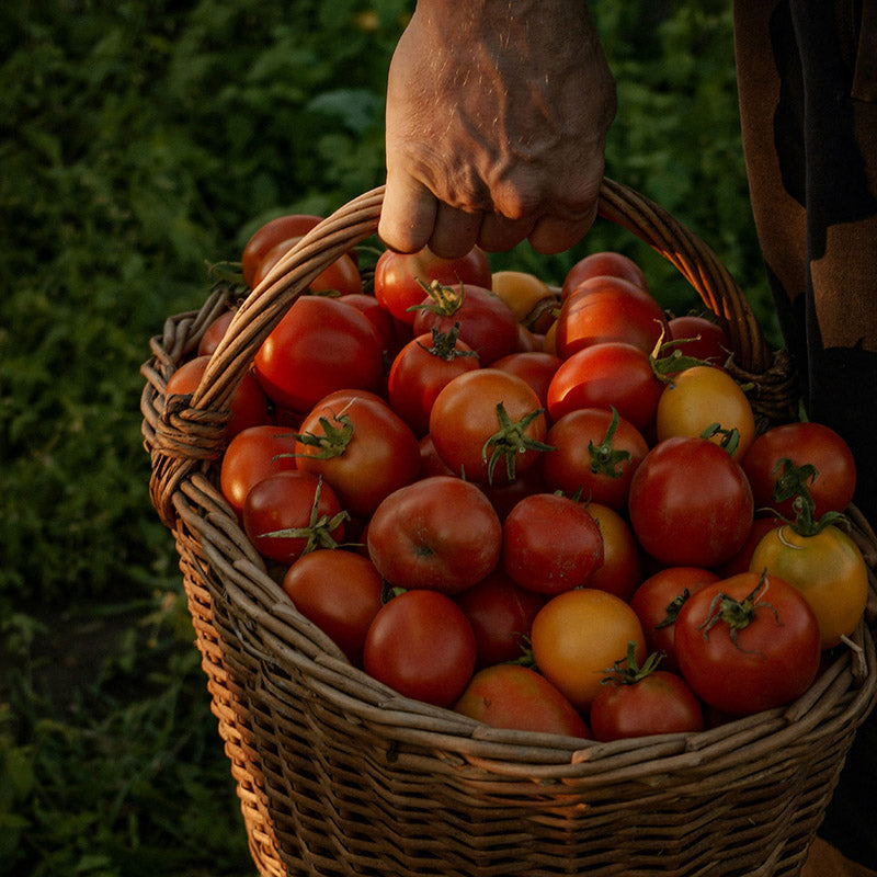 Good Morning Ramon Monegal Scented Candle 650g