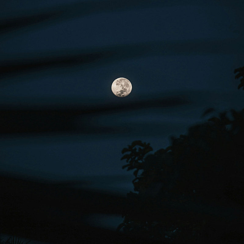 Moonlight Ramon Monegal Scented Candle 650g