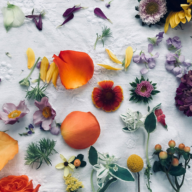 Wonderland Ramon Monegal Scented Candle 650g