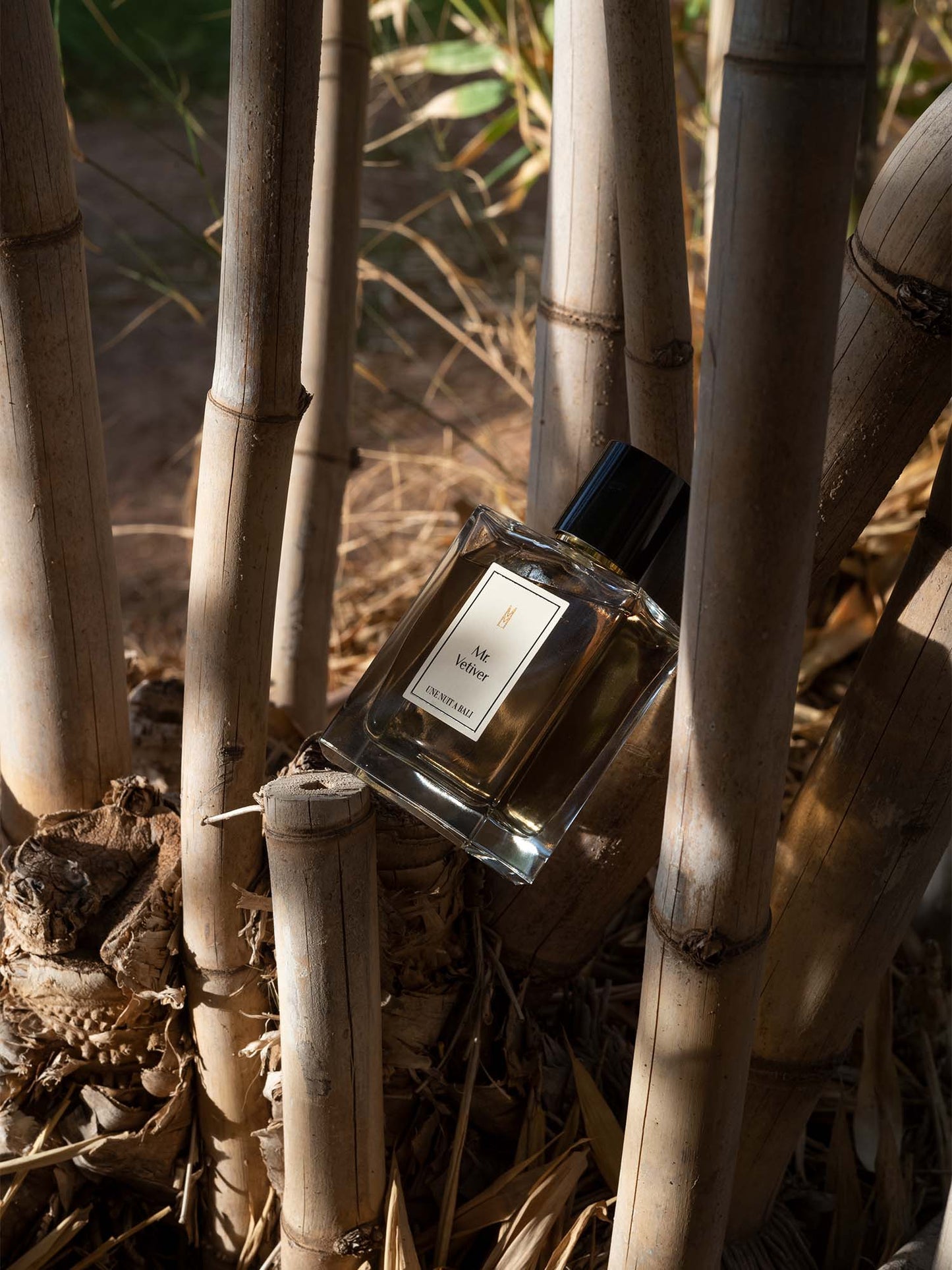 Mr. Vetiver Une Nuit Nomade Eau De Parfum