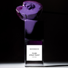 Plum Spray Paint Bohoboco Extrait de Parfum 50ml