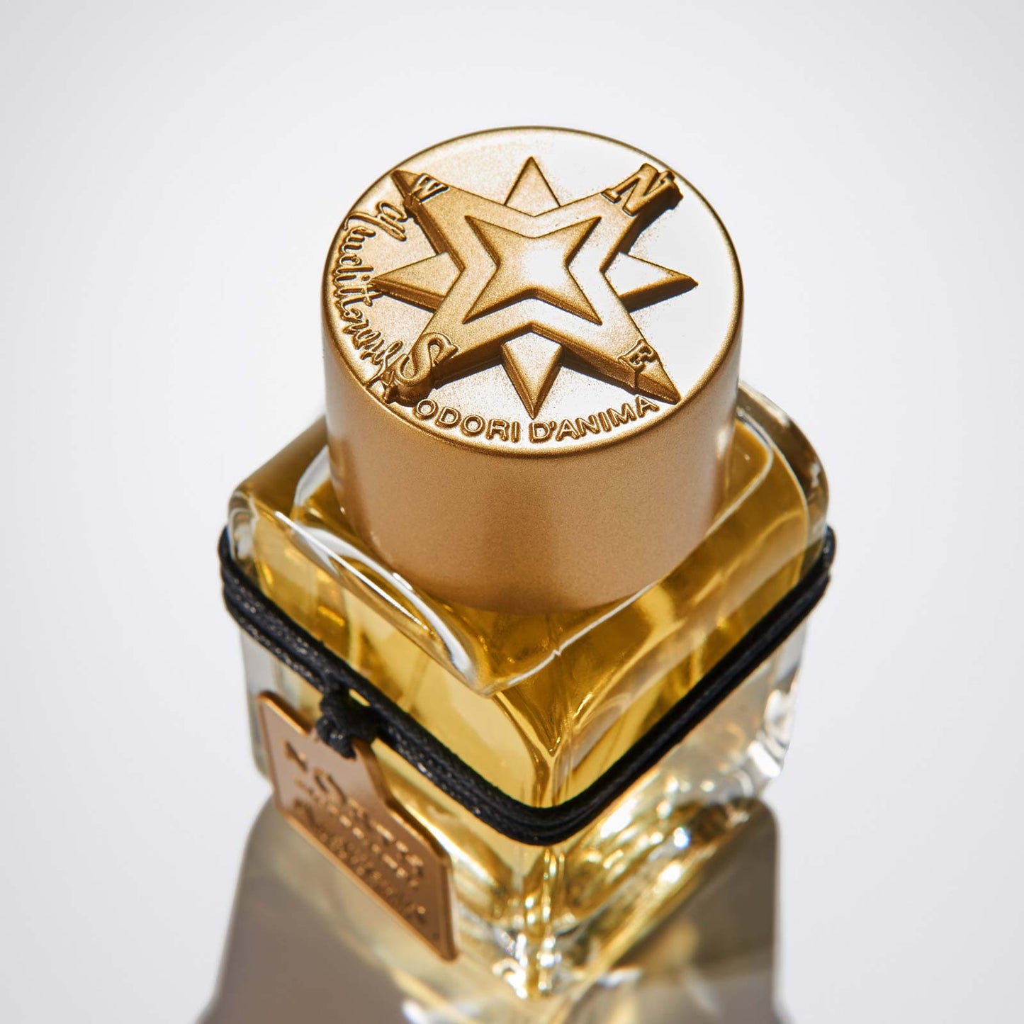 North Mendittorosa Eau de Parfum 100ml