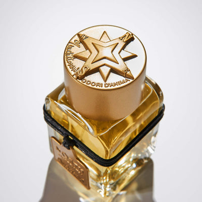 North Mendittorosa Eau de Parfum 100ml