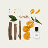 Orange Crush Fugazzi Extrait de Parfum