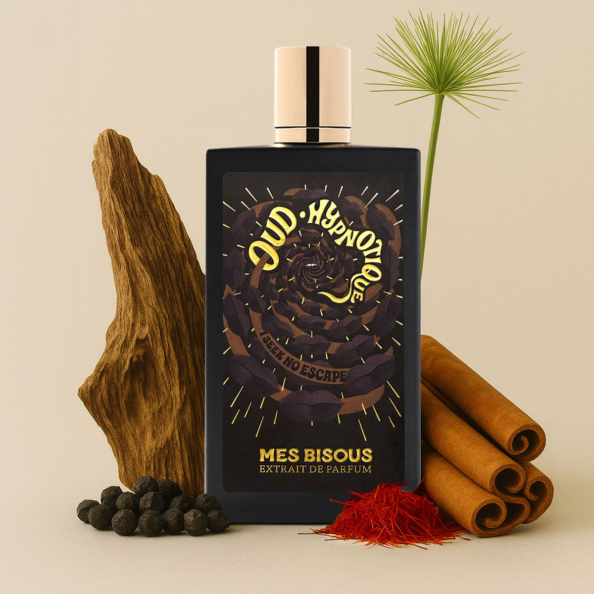 Mes Bisous Oud Hypnotique Extrait de Parfum 100 ml