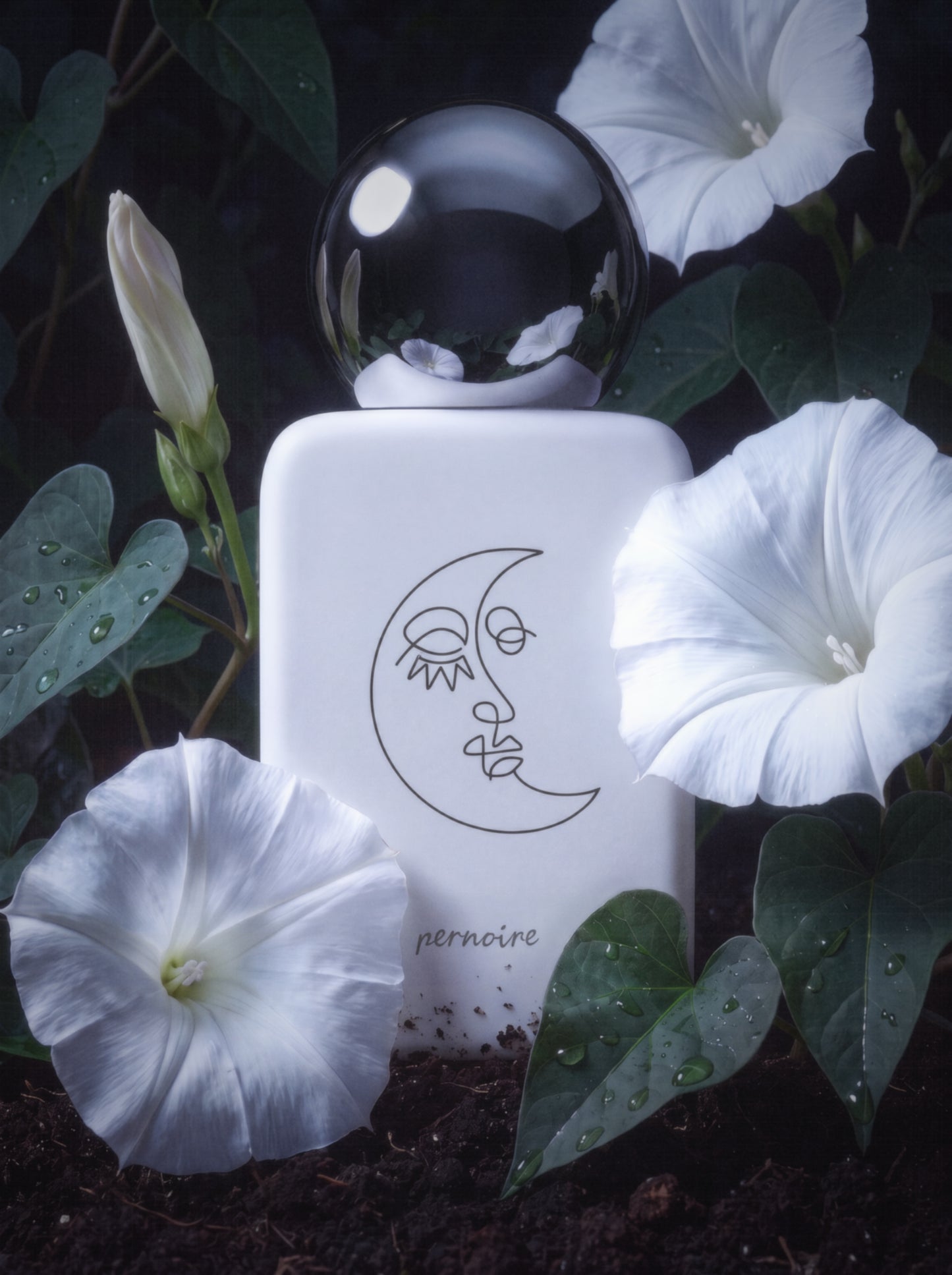 Luvani Pernoire Extrait de Parfum 50ml
