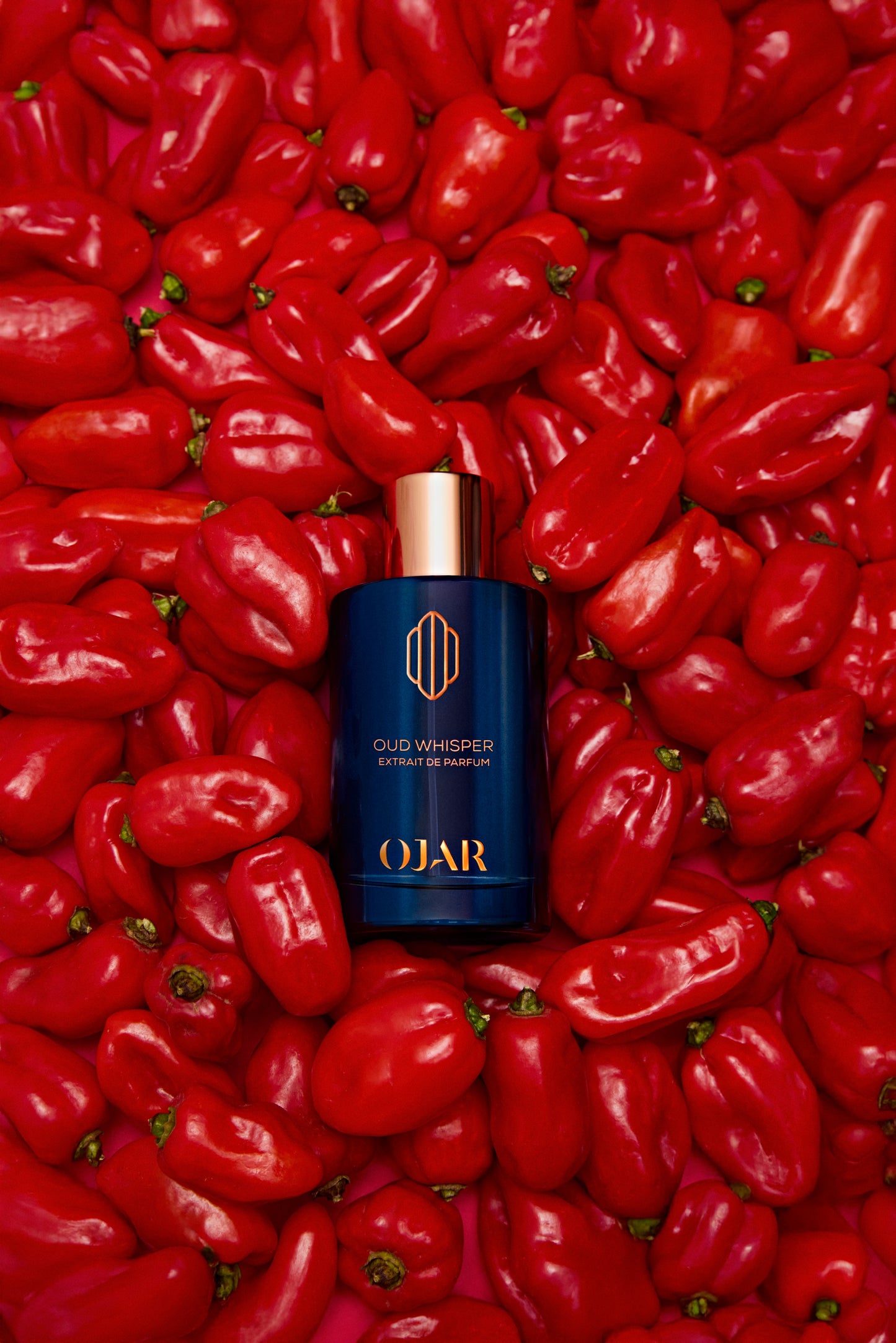 Oud Whisper Ojar Extrait De Parfum 100ml