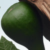 Santal Greenery Dries Van Noten Eau De Parfum 100ml