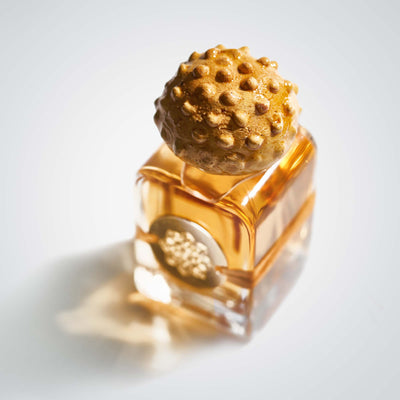 Sogno Reale Mendittorosa Extrait de Parfum 100ml