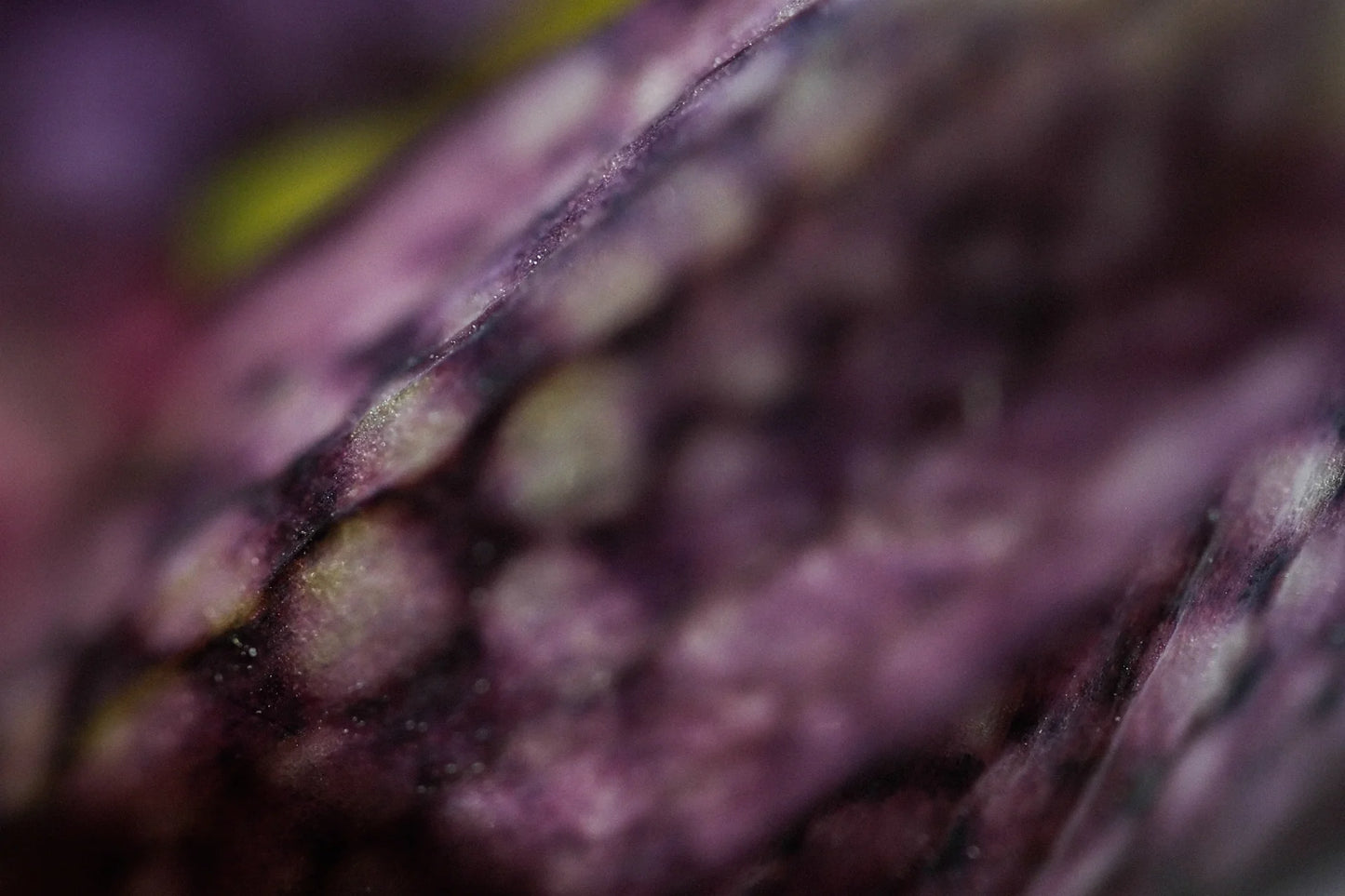 The Opening Neh Perfumes Eau de Parfum 100ml