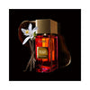 Because I Am Free Gritti Extrait de Parfum Sample 2ml