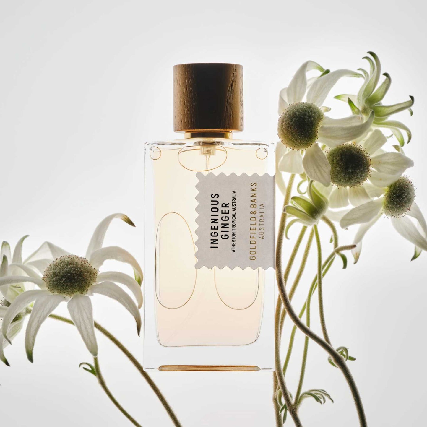 Ingenious Ginger Goldfield & Banks Parfum